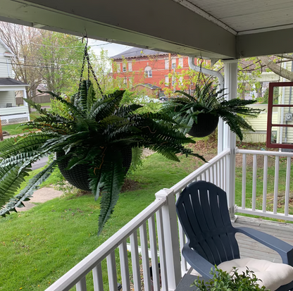 🔥Last Day 75% OFF--🌿UV Resistant Lifelike Artificial Boston Fern